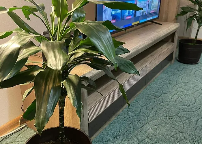 Lägenhet Velky Bratislava